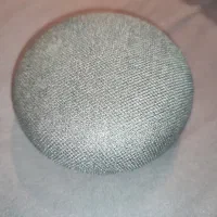 Google home mini