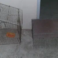 قفس پرنده