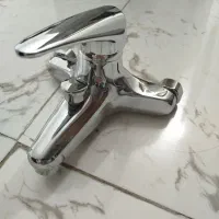 شیر حمام قهرمان