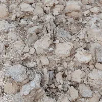 کود دامی