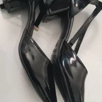 کفش مجلسی|کیف، کفش، کمربند|تربت‌حیدریه, قائم|دیوار