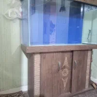 آکواریوم