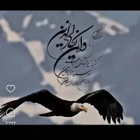پافر سایز بزرگ  نو استفاده نشده جنس خوب
