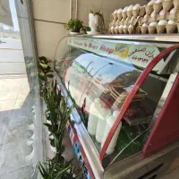 یخچال ویترینی مغازه