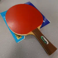 راکت حرفه‌ای باترفلای گرگلی اسطوره‌ای