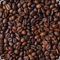 پخش قهوه و تمام لوازم و اکسسوری کافه