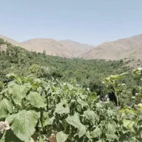 باغ در خرونیشابور|فروش زمین و ملک کلنگی|مشهد, طبرسی شمالی|دیوار