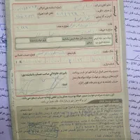 زمین ۲۵۰ متری منابع طبیعی قصر سبز