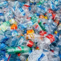 خرید کارتن و ضایعات در محل|عمدهفروشی|ری, علایین|دیوار