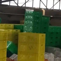 سبد باسکت گالن بشکه پالت وان گلدان مخزن پلاستیکی|عمده‌فروشی|شیراز, سایت اداری|دیوار