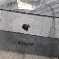 تلق موتور هوندا|قطعات یدکی و لوازم جانبی|کرج, شهرک سهرابیه|دیوار