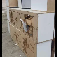 شرکت سم پاشی و موریانه زدایی(آسایش) با مجوز رسمی|خدمات نظافت|کوهدشت, |دیوار