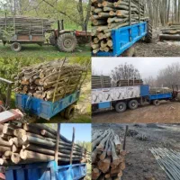 خدمات خرید چوب آلات و چوب گردو به بالاترین قیمت