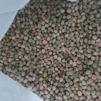 بذر نخود فرنگی پفکی