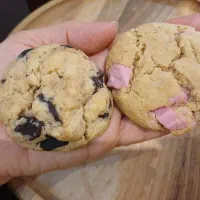 کوکی خونگی و کافه ای|خوردنی و آشامیدنی|شاهین‌شهر, مورچه خورت|دیوار