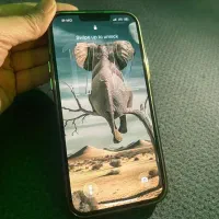 گوشی ۱۳ پرومکس ۲۵۶|موبایل|مشهد, استاد یوسفی (شهرک غرب)|دیوار