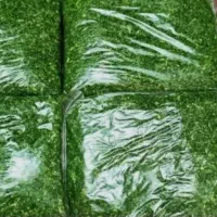 سبزی پاک کرده قرمه|خوردنی و آشامیدنی|ساری, |دیوار