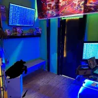 استخدام برای کار با کامپیوتر و کارهای اینترنتی