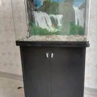 آکواریوم شرکتی دلساk580