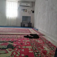 زیرتلویزیونی