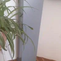 باکس جاساز جا مخفی خانگی