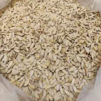 بذرخربزه و کنجد|عمده‌فروشی|شیراز, شهرک گلستان|دیوار