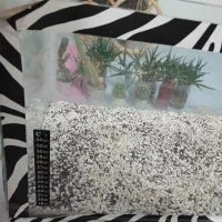 آکواریوم|ماهی|مبارکه, |دیوار