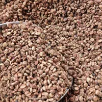 سماق ارگانیک موجود