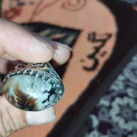 انگشتر شجر|جواهرات|شیراز, کیان آباد|دیوار