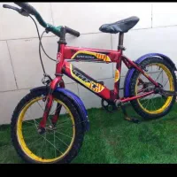 دوچرخه ۱۶ سالم