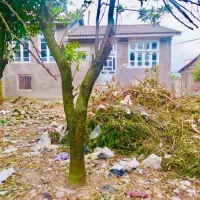 خونه باغ 800 متر داخل بافت باسند چسبیده به شهر|فروش خانه و ویلا|امامزاده عبدالله, |دیوار