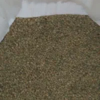 لوبیا اشی لوبیا