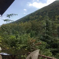 ماهانه چوبی دوبلکس با بهار خواب|اجارهٔ خانه و ویلا|کلاردشت, |دیوار