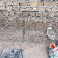 قفس کفتر مرغ عشق|لوازم جانبی حیوانات|الوند, |دیوار