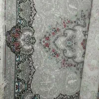 فرش نو|فرش|خرمشهر, |دیوار