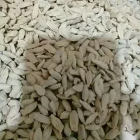 هسته بهار نارنج