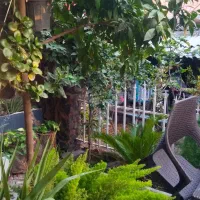 سویت شهر خانببین خان ببین|اجارهٔ کوتاه‌مدت آپارتمان و سوئیت|خان ببین, |دیوار