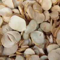 موسیر پلاکی