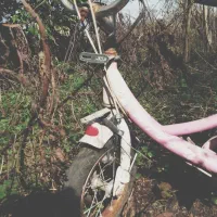 دوچرخه ۱۲ دخترانه