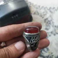 ۱۲عدد|بدلیجات|تربت‌حیدریه, کلاته توکلی|دیوار