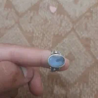 شجر قائن
