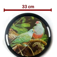 سینی پلاستیکی ( عمده )