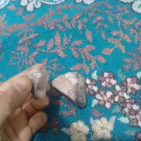 فسیل‌صدف‌و‌مسیل‌حیوان‌در‌یایی‌‌‌چند‌سا‌له|کلکسیون و سرگرمی|مشهد, رده|دیوار