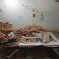 منبت کارم حرفه ای