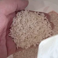 پخش بزرگ برنج زرمیر|خوردنی و آشامیدنی|اصفهان, صدف|دیوار