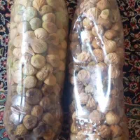 انجیر خشک تازه