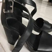 کفش|کیف، کفش، کمربند|مشهد, فردوسی|دیوار