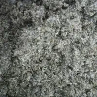 انواع سبزی از تازه ترین سبزی ها