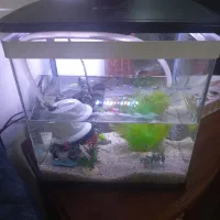 آکواریوم شرکتی