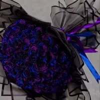 کلکسیون گل ها و باکسای کهکشانی|گل مصنوعی|اردبیل, |دیوار